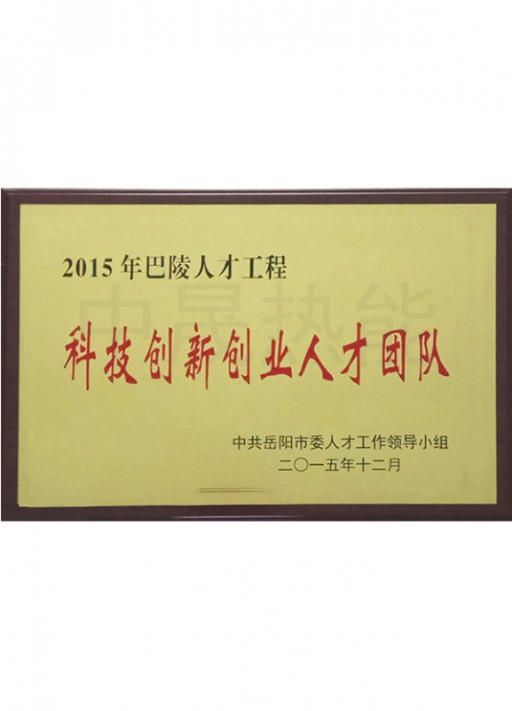 科技創(chuàng)新創(chuàng)業(yè)人才團隊